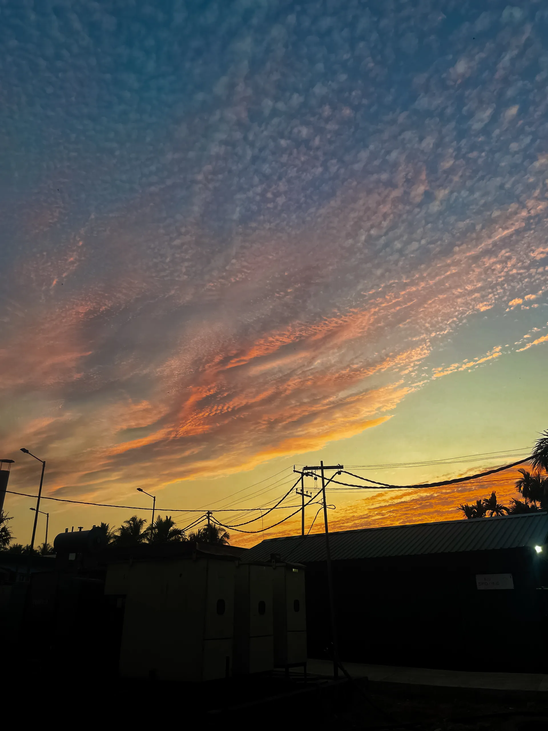 IMG 20240326 WA0012 (1)